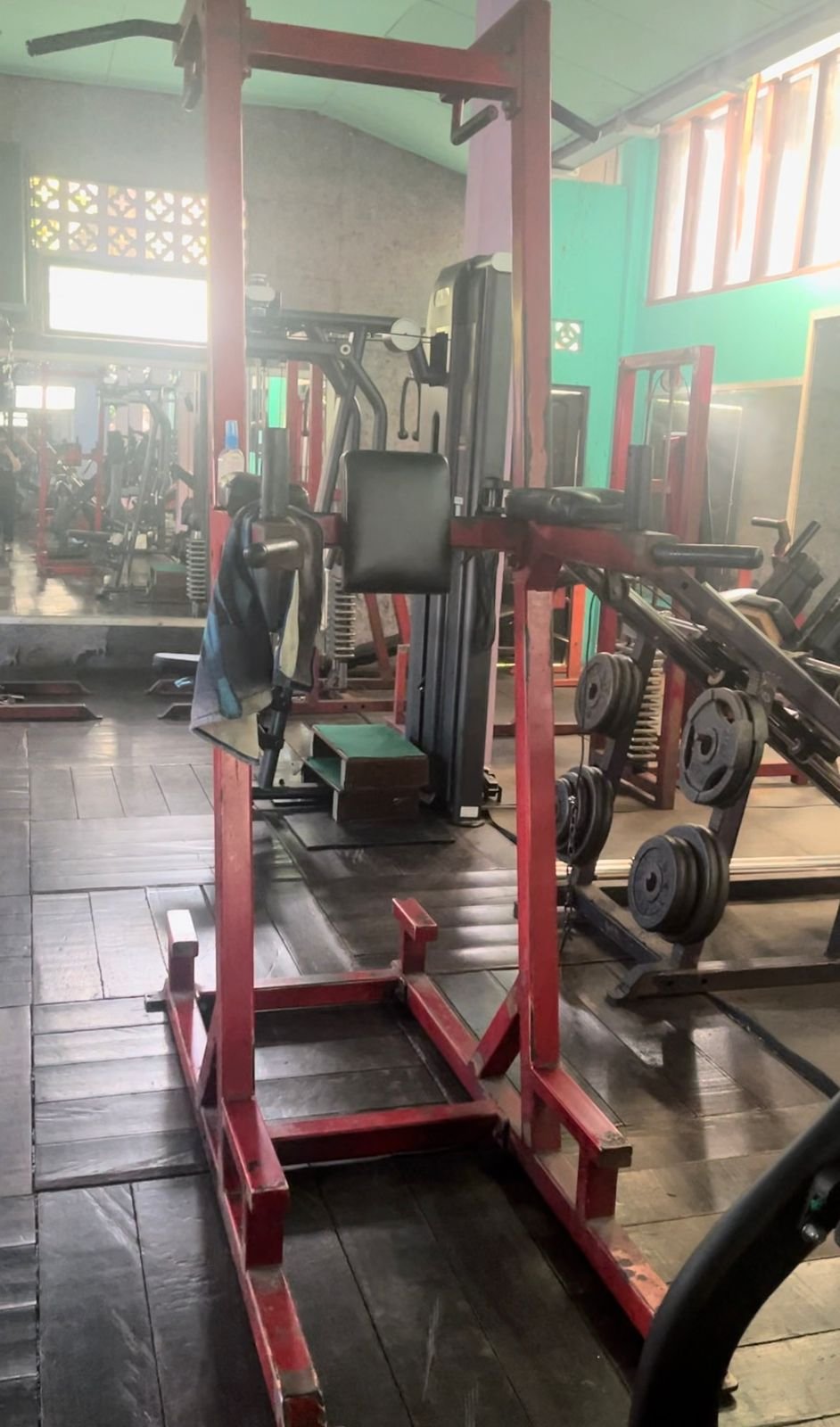 Vertical Knee Raise (VKR) / Dip Station