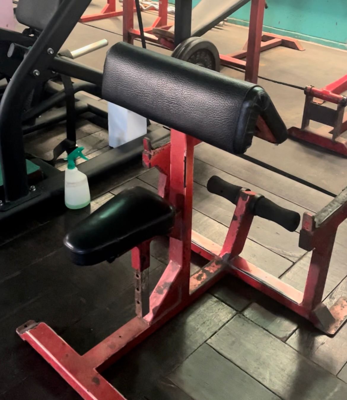 Preacher Curl Bench